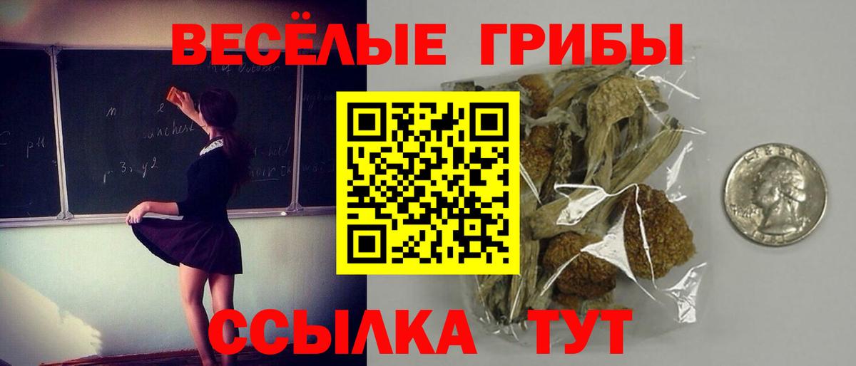 Псилоцибиновые грибы Cubensis Красногорск