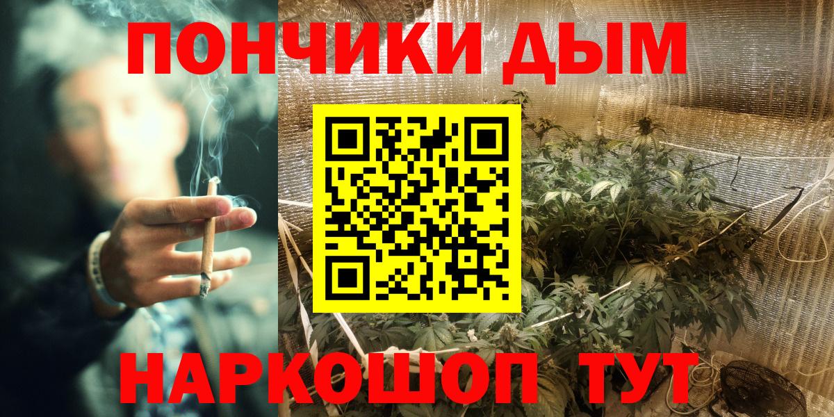 Конопля гибрид  Бошки Шишки ГИДРОПОН  Красногорск  Вход с VPN  Марихуана SATIVA & INDICA 